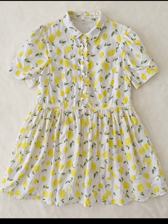 eshakti Dresses & Skirts - eShakti Lemon Print Dress Woman 2X Pockets Button Front Fit & Flare Cottagecore